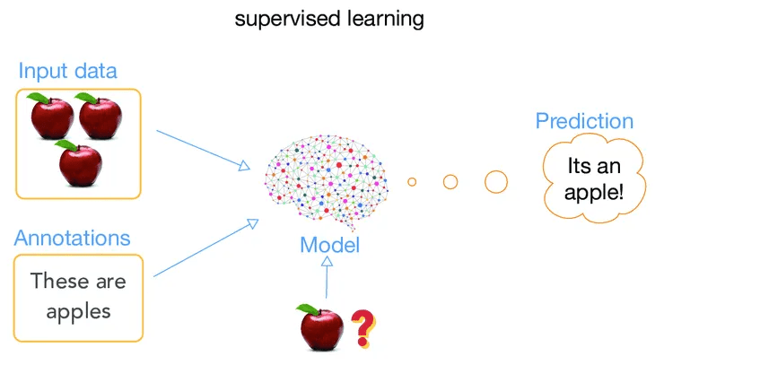 Exemplo de classificação de frutas através de algoritmos de Machine Learning e reconhecimento de características.
