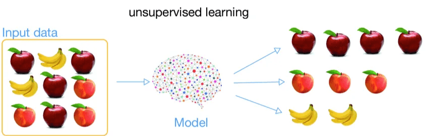 Aplicação de algoritmos de Machine Learning na análise de padrões e previsão de resultados.